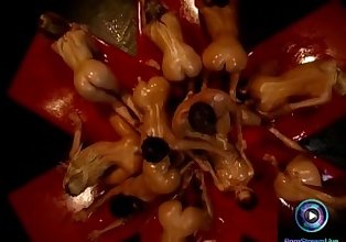 Hot chicks soaked in oil waiting for Rocco Siffredi to fuck them
