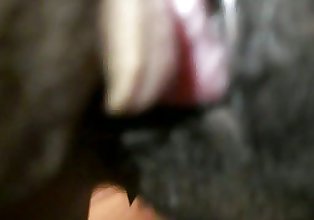 my wife hotel dick ride pt 2