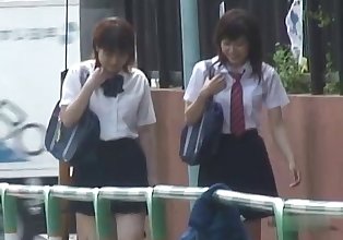 Japanese Panties-Down Sharking - Students Pt 2- CM