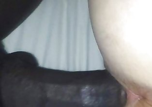negro Dick perrito blanco culo