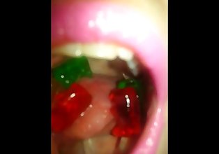 Gummy Swallow