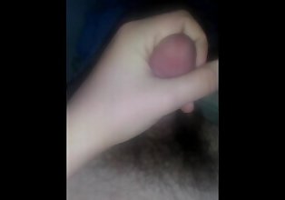 Nice Hairy Cock