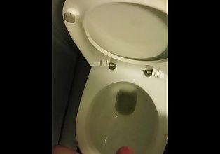 mij schieten mijn Belasting in Toilet