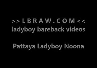 ladyboy noona Baisée bareback